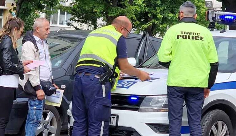 Пиян таксиметраджия прегази куче на пешеходна пътека в Благоевград