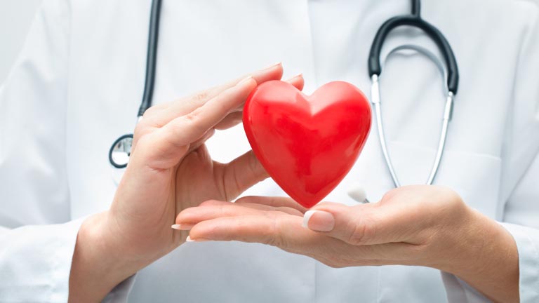 Doctor holding heart