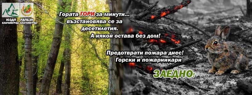 Гората гори за минути…възстановява се за десетилетия