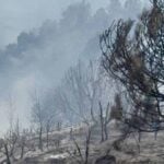 Пожар изпепели около 90 декара гора между Скребатно и Балдево